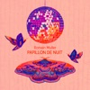 Papillon de nuit - Single
