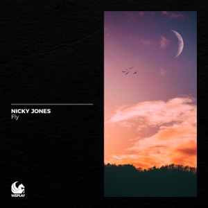 Fly - Single