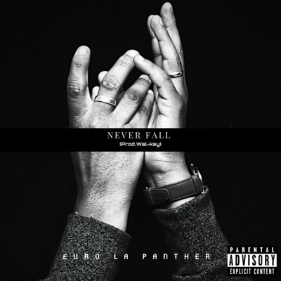 Never Fall - Single