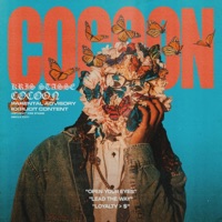 Cocoon - Single - Kris Stasse
