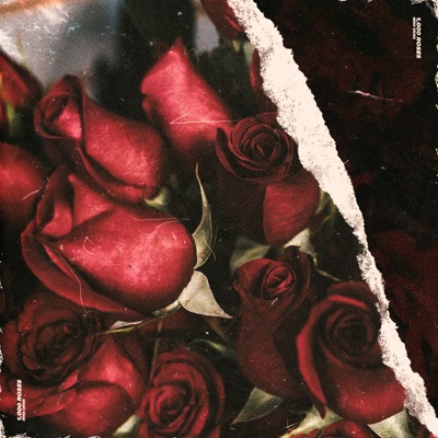 1,000 Roses