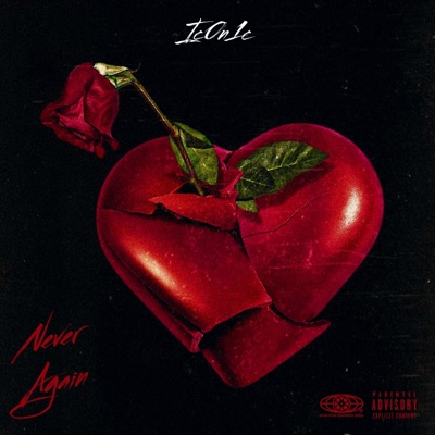 Never Again - Single