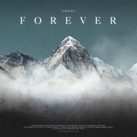 Forever Chess