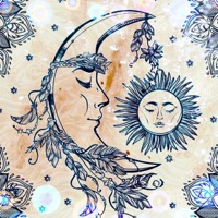 Moon to Sun - Single - Brady Aye