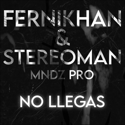 No llegas (feat. Fernikhan & Stereoman) - Single