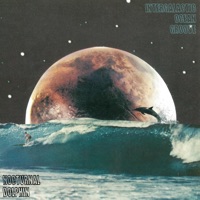 Intergalactic Ocean Groove - EP - Nocturnal Dolphin