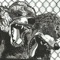 Confront Ya - Urochromes lyrics