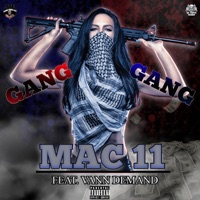 Gang Gang (feat. VanN Demand) - Single - Mac11