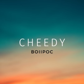 Вопрос CHEEDY