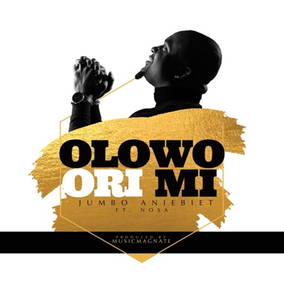 Oloworimi (feat. Nosa) - Single