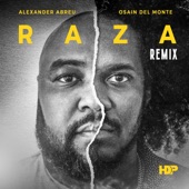 Raza (Remix) [feat. Osain Del Monte] artwork