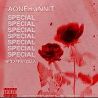 Special - Single - Aonehunnit