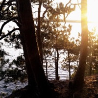 Gonna Get It (feat. Lil Jandro & Rex Mundi) - Single - PhantomClan