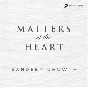 Dichotomy Love (feat. Frank Gambale, Deepak Pandit, Scott Ambush & Otmaro Ruiz)
