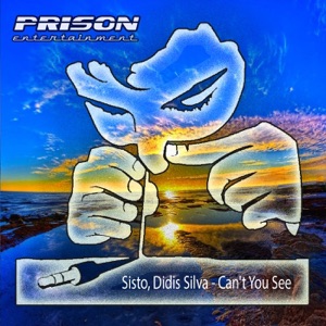 Can't You See - Single