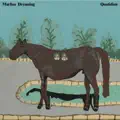 Marlin's Dreaming