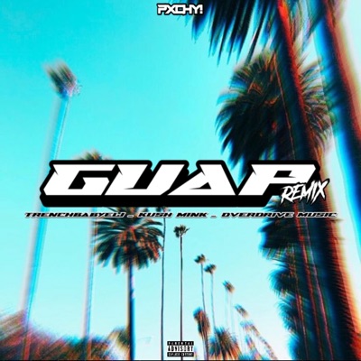 Guap (feat. Trenchbabyeli, Kush Mink & Overdrive Music) [Remix] - Single