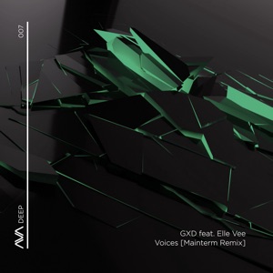 Voices (feat. Elle Vee) [Mainterm Remix] - Single