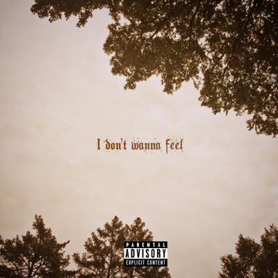 I Don't Wanna Feel - Single