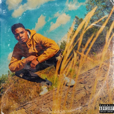 Where Is Poke? - Single