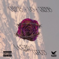 Come Le Rose (feat. TRAVIS) - Single - Lucio