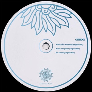 Bad Birds (Cnr001) - Single