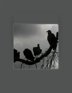 Écoutez NaVito, regardez des vidéoclips, lisez la biographie, consultez les dates de tournée et plus encore !