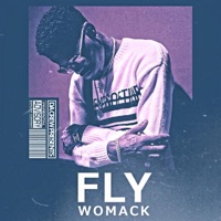 Fly Womack - DC Young Fly