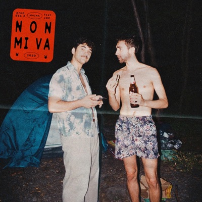 Non mi va (feat. Gaetano & Big P) - Single