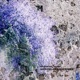 Ambipolar Amazonian EP