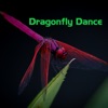 Dragonfly Dance - EP