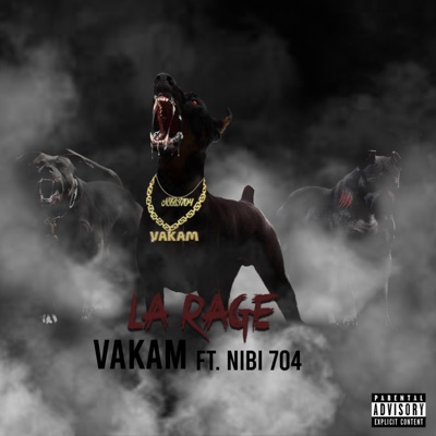 LA RAGE (feat. Nibi704) - Single