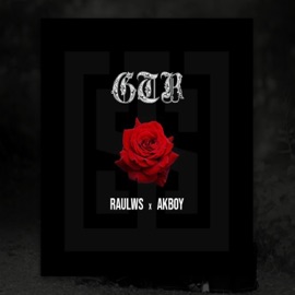 Gtr (feat. Akboi) Raul Ws
