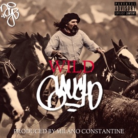 Wild Gaucho Aye Wun