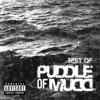 Puddle of Mudd