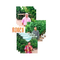 Roses - Single - Tee