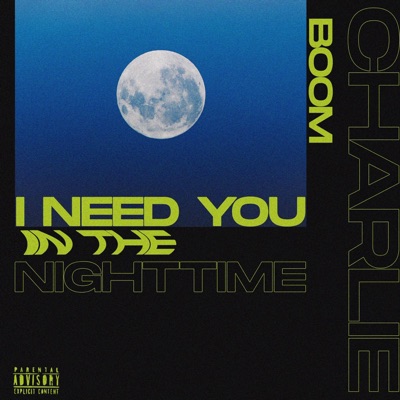 I Need You in the Nighttime - Single