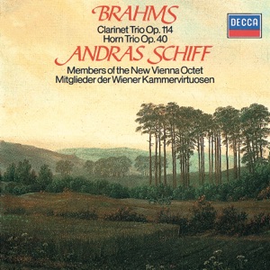 Clarinet Trio in A Minor, Op. 114: I. Allegro