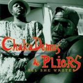 Chaka Demus & Pliers - Murder She Wrote