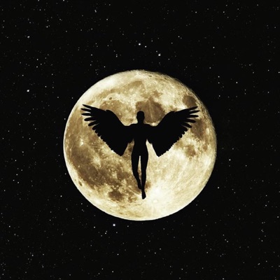 Low Signal - Single