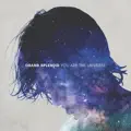 You Are The Universe