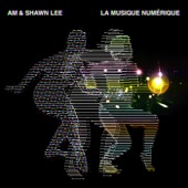 AM & Shawn Lee - Suffer Like Me