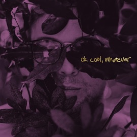 Voices (feat. 4ndreas) No Thx