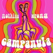 Campânula - Nothing Wrong