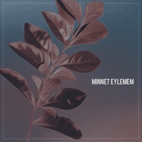 Minnet Eylemem - Single - Serhat Durmus