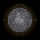 A Garment of Light (feat. Bill Frisell, John Medeski, Kenny Wollesen & Carol Emanuel) artwork