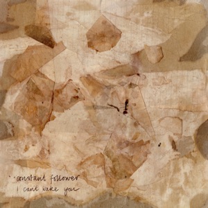 I Can't Wake You - Single