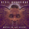 Water in the Desert - Oteil Burbridge