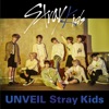Stray Kids