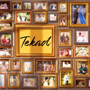 Tekad